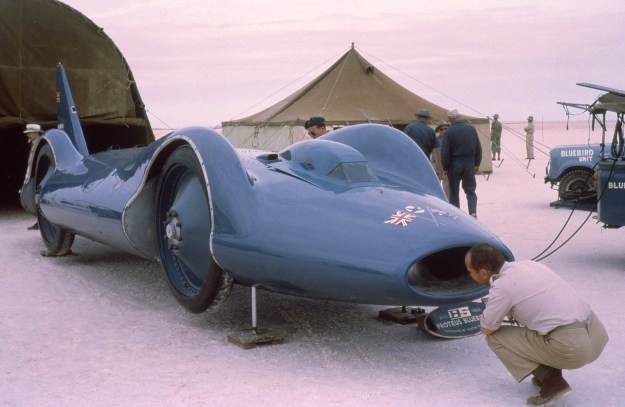 Bluebird CN7 sits poised on her built-in jacks.